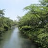 2011年7月24日　玉川上水散歩1（羽村駅～拝島駅）イベント主催