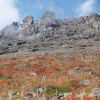秋の茶臼岳登山