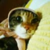 あの頃チャンネル(2007年10月21日～2007年10月27日)