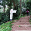 伊吹山２０１７年５月９日フォト