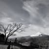 銀嶺光る、富士冬景