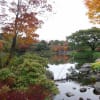国営昭和記念公園（日本庭園　２０１２年１１月１２日）