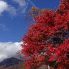 八ヶ岳高原の紅葉