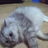 あの頃チャンネル(2011年10月23日～2011年10月29日)