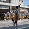 よさこい2011夏　本場高知のよさこい祭り☆