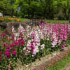 大仙公園日本庭園