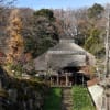 ロウバイ　（港北区・西方寺）