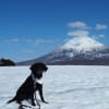 リップ・・逝ってしまった