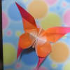 折り紙　蝶