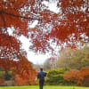 2015泉谷公園の紅葉と愛犬　風と鈴