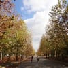 2011年11月佐井寺公民館「秋の万博公園デジカメ散策会」