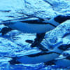 サンシャイン水族館