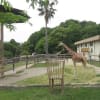 岬公園