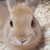 小春成長アルバム
