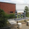 桜新町の長谷川美術館よこにある公園の松の木、呑川緑道の巨木、駒沢公園のタブノキです。right wise