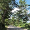 2012年8月20日　中山道徒歩の旅19（垂井宿～醒井宿）（その1）