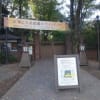 特別名勝　六義園・・・大名庭園。都市化の中での自然～素晴らしい～