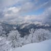 1007  奥揖斐の冬の山写真