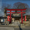 茨城県笠間市、石井「石井神社のケヤキ」です!!