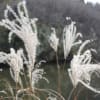 izumi Nature Park 泉自然公園　2014-1-3