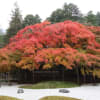 雷山千如寺