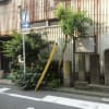 夏休みの自由研究