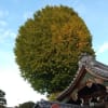 栗山氏、侍ジャパン監督就任来年春で調整中の強化試合が初陣か・・・ 一緒にがんばりましょう!
