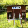 物見山～日和田山ハイク
