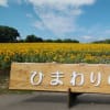 ひまわりの里　　北海道北竜町