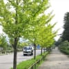10月24日　大桑緑地公園から犀川河川敷