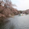 写真展　EOS60Dで撮った三鷹市