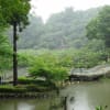 雨の薬師池公園