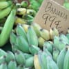 ホノルルで休暇　2010年　ゴールデンウィーク