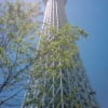 展望回廊＆展望デッキ