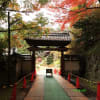 奈良の寺｛広仁寺｝