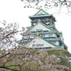 大阪城公園と周辺の桜（２０１４年４月１３日）