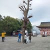 文化財消防訓練