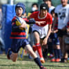 第4回シャイニングアークスカップ／江戸川区ラグビースクール