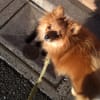 そらまる館