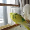 【2359】イカの甲より年の功