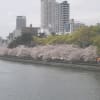 中之島の風景