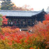 2011年　京都・奈良紅葉狩り