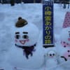 小樽雪あかりの路2015
