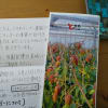 石垣島からの手紙