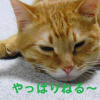 あの頃チャンネル(2009年05月31日～2009年06月06日)
