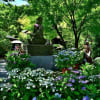 長谷寺　２（アジサイ）