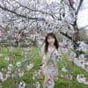 城址公園の桜