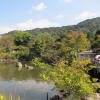 哲学の道～永観堂～南禅寺～知恩院～円山公園！！