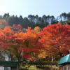 紅葉2013　in　滋賀