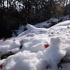 11月の初雪と紅葉のコラボレーションを楽しむ　高尾山～小仏城山のミニ縦走